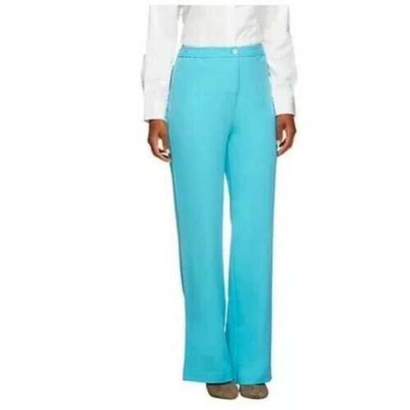 NWT LINEA BY LOUIS DELL'OLIO AQUA WOVEN PANTS 26 - Picture 1 of 13